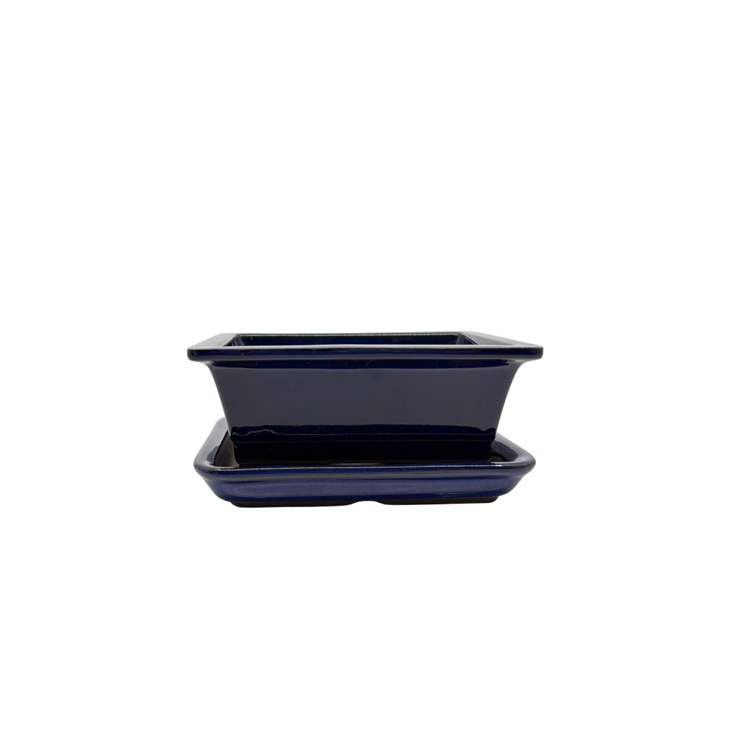 Bonsai pot set - rectangular, glazed, blue (14cm wide)