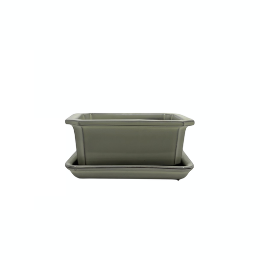 Bonsai pot set - rectangular, glazed, cream (14cm wide)