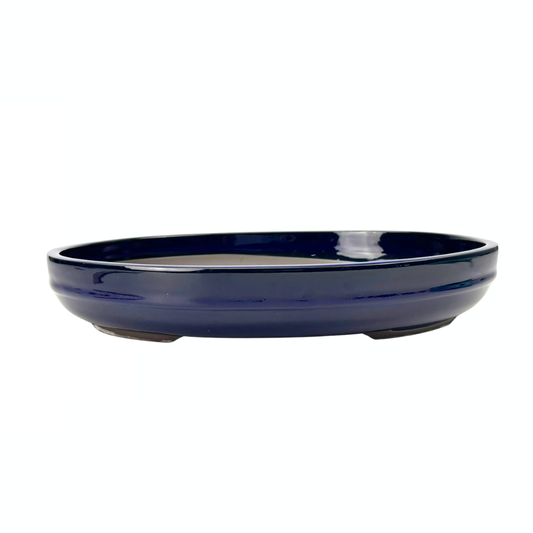 Bonsai pot - oval, glazed, blue (41cm wide)