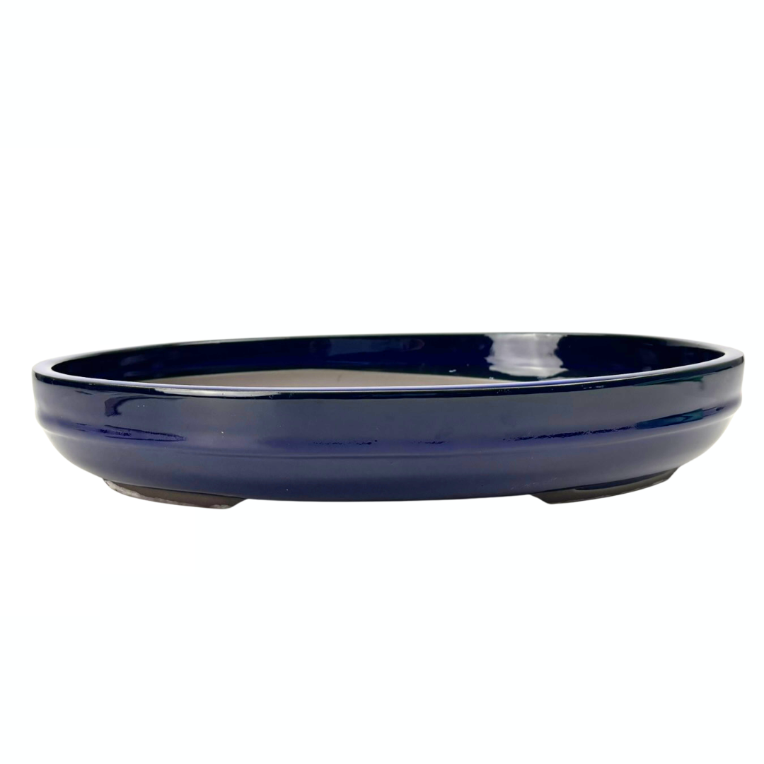 Bonsai pot - oval, glazed, blue (47cm wide)