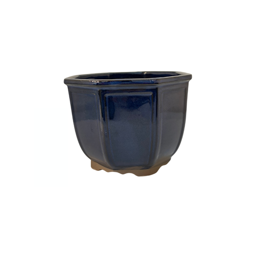 Bonsai pot octagonal cascade dark blue 14cm