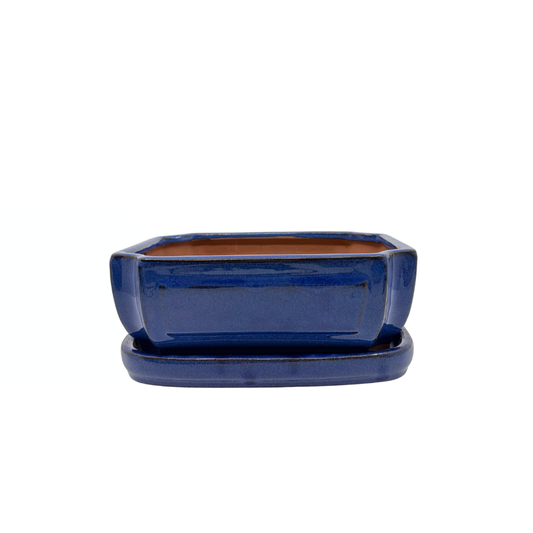 Bonsai pot blue rectangular 20cm - set