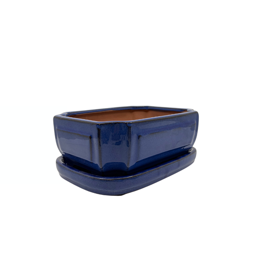 Bonsai pot blue rectangular 20cm - set