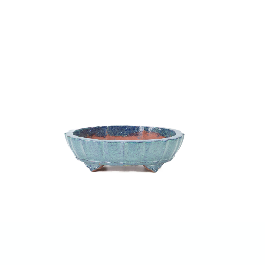Bonsai pot blue green chrysanthemum 17cm