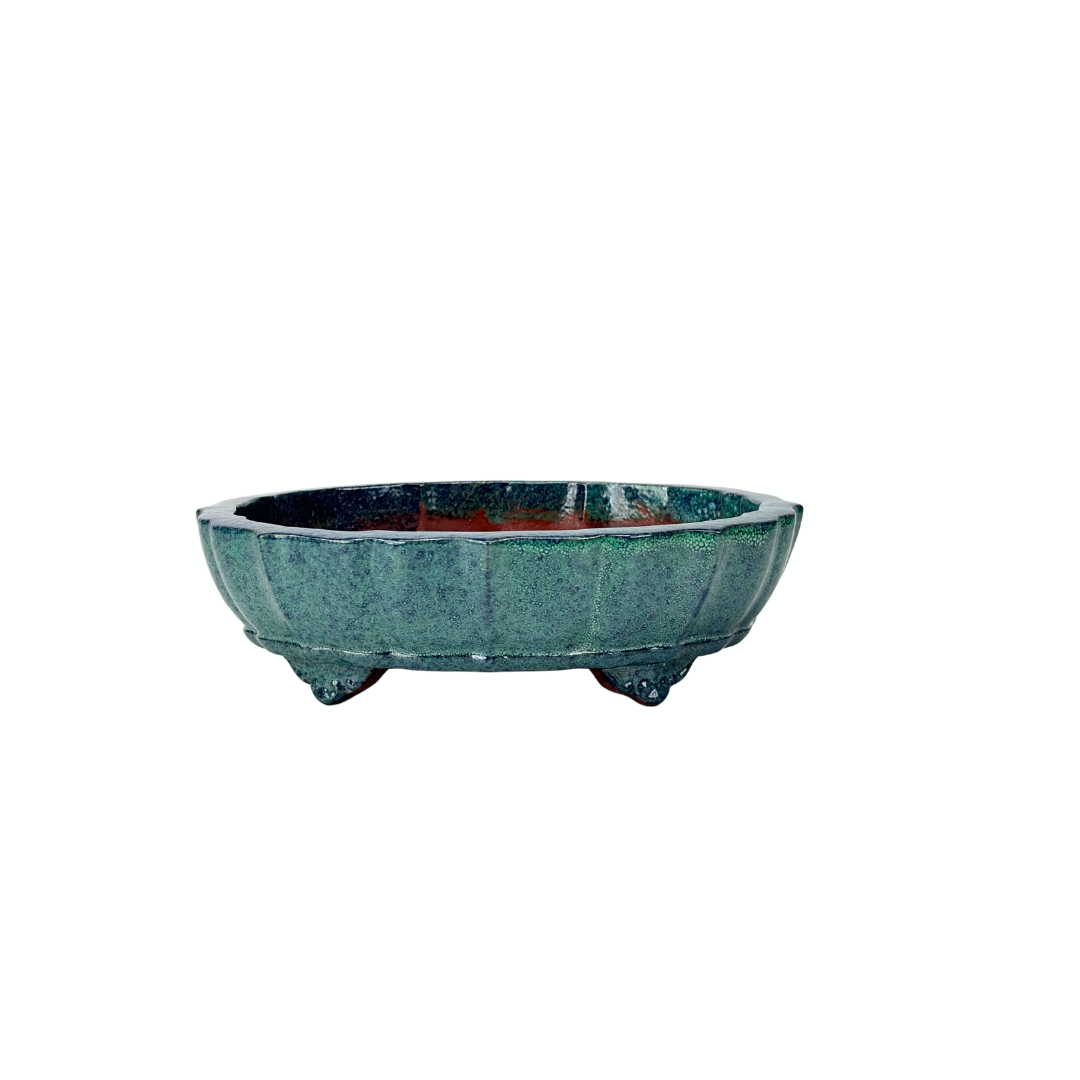 Bonsai pot blue green chrysanthemum 17cm