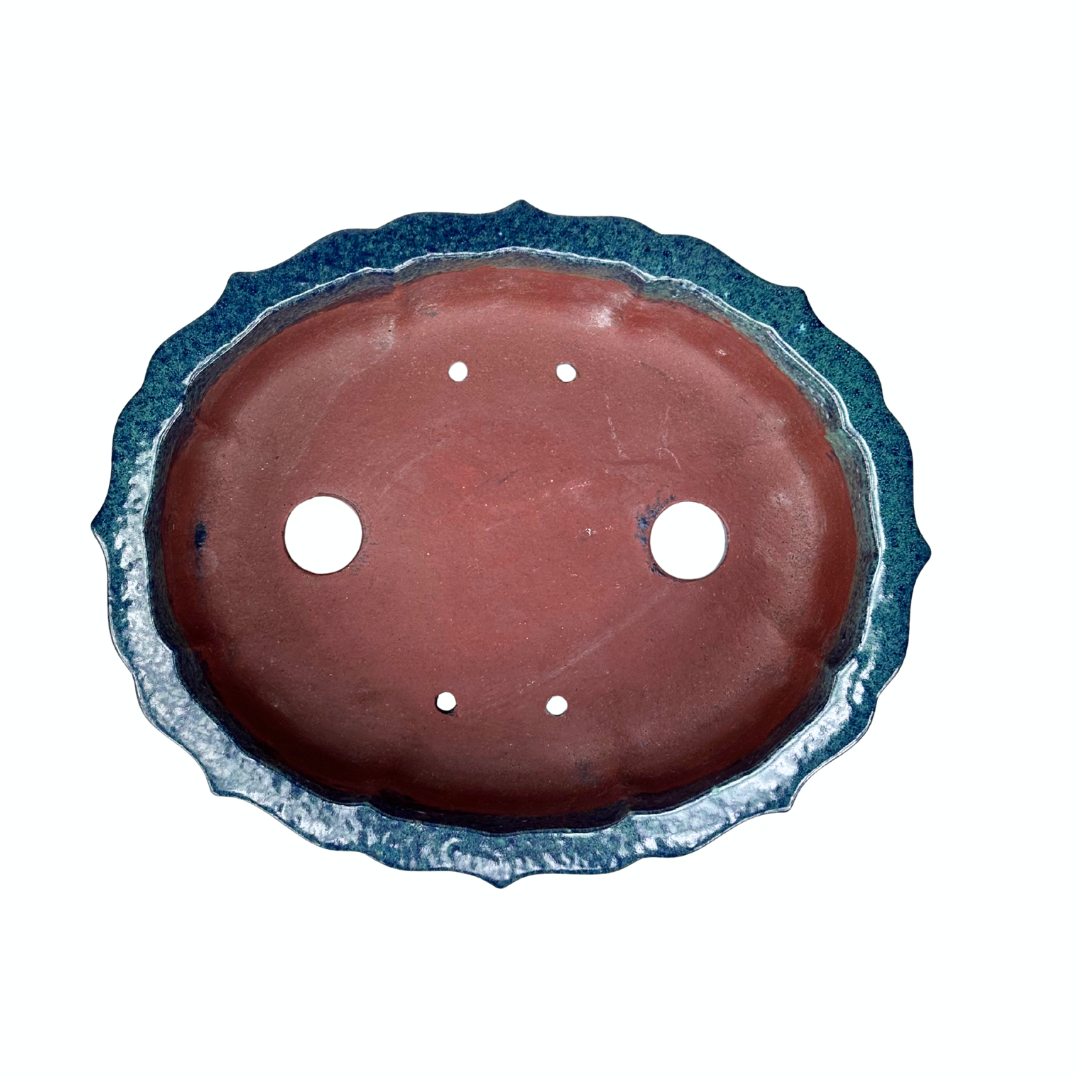 Bonsai pot blue green chrysanthemum 17cm