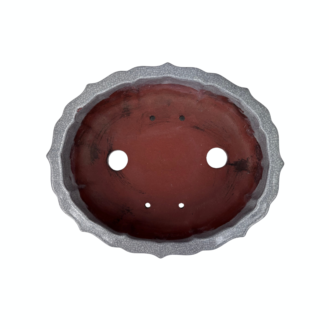 Bonsai pot white gray crackled chrysanthemum 17cm