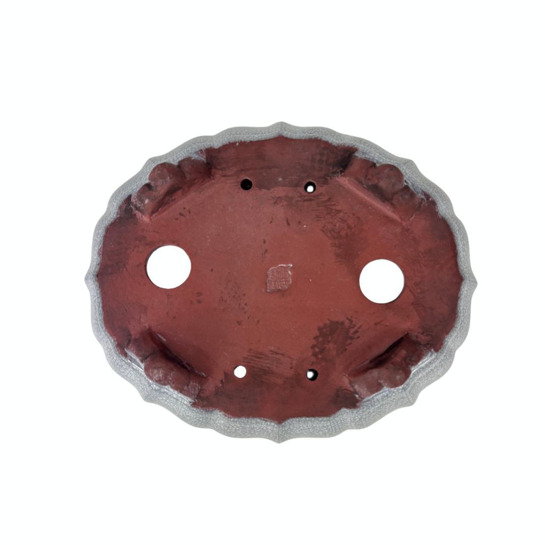 Bonsai pot white gray crackled chrysanthemum 17cm