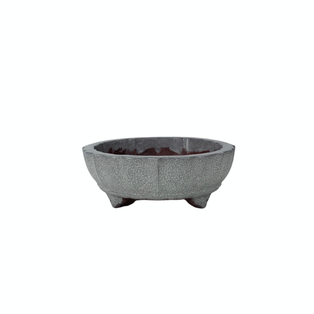 Bonsai pot white gray crackled chrysanthemum 17cm