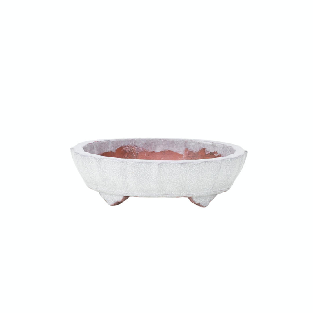 Bonsai pot white gray crackled chrysanthemum 17cm
