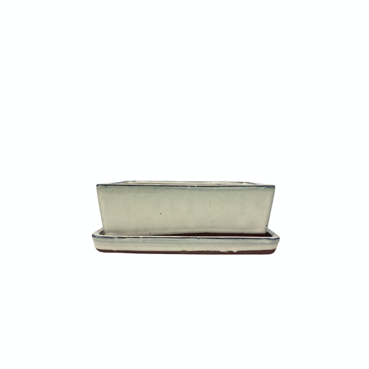 Bonsai pot cream rectangular 15cm - set