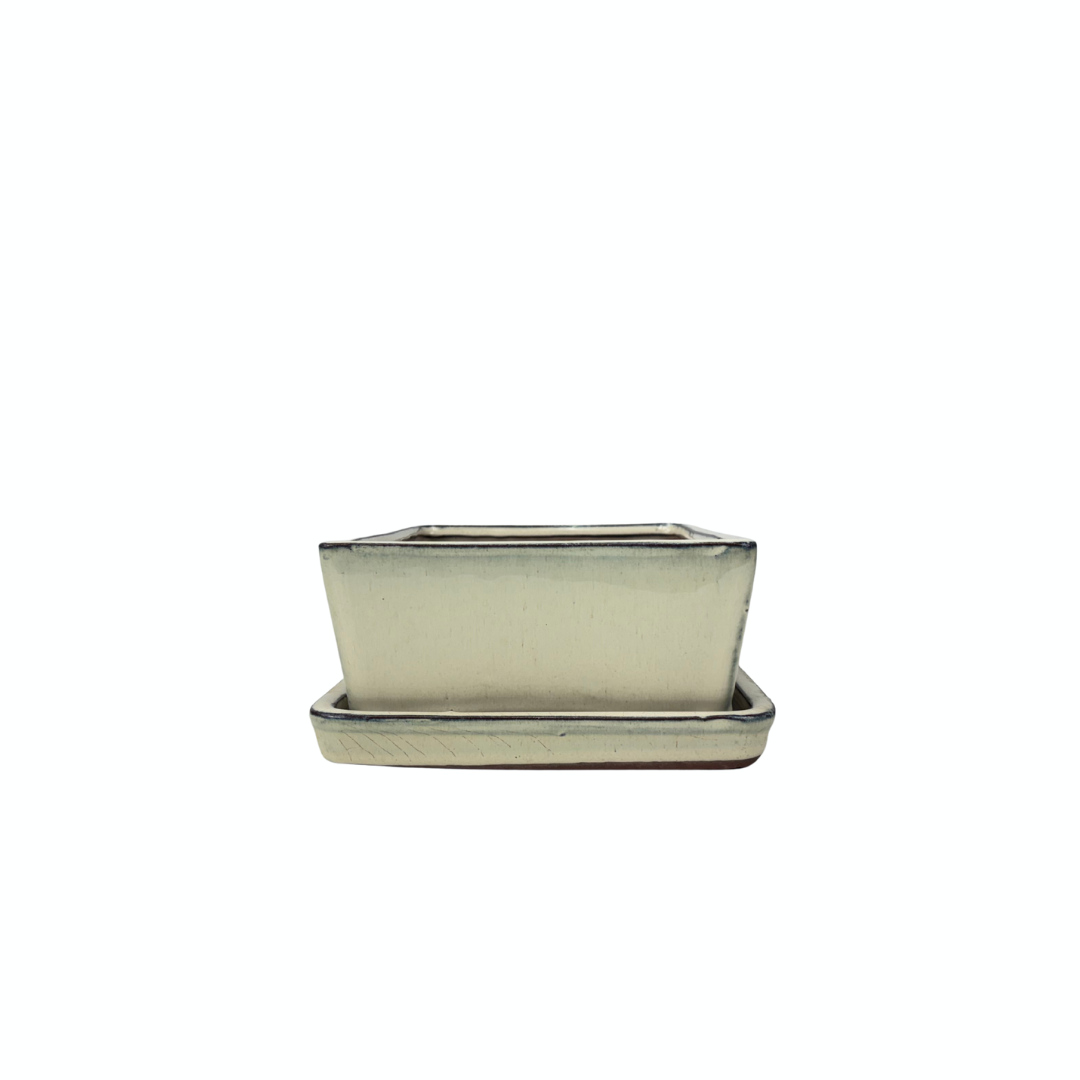 Bonsai pot cream rectangular 15cm - set