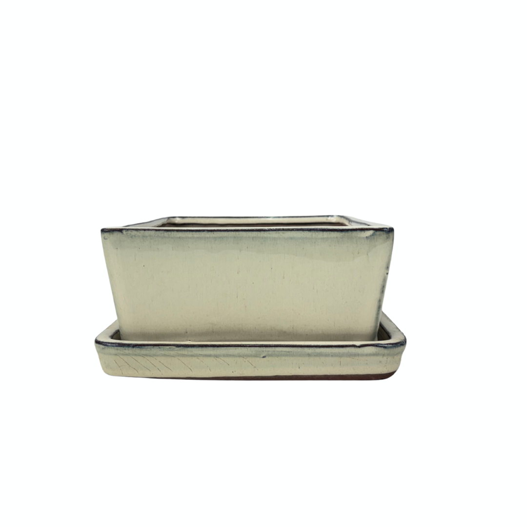Bonsai pot cream rectangular 25cm - set