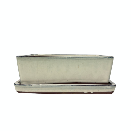 Bonsai pot cream rectangular 30cm - set