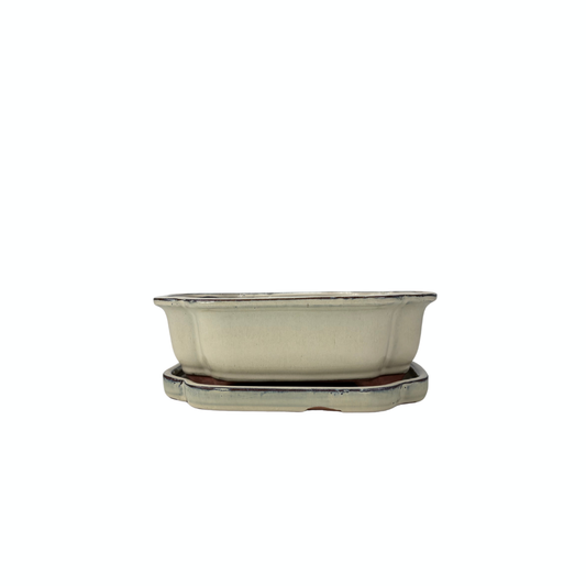 Bonsai pot cream mokko 16cm - set