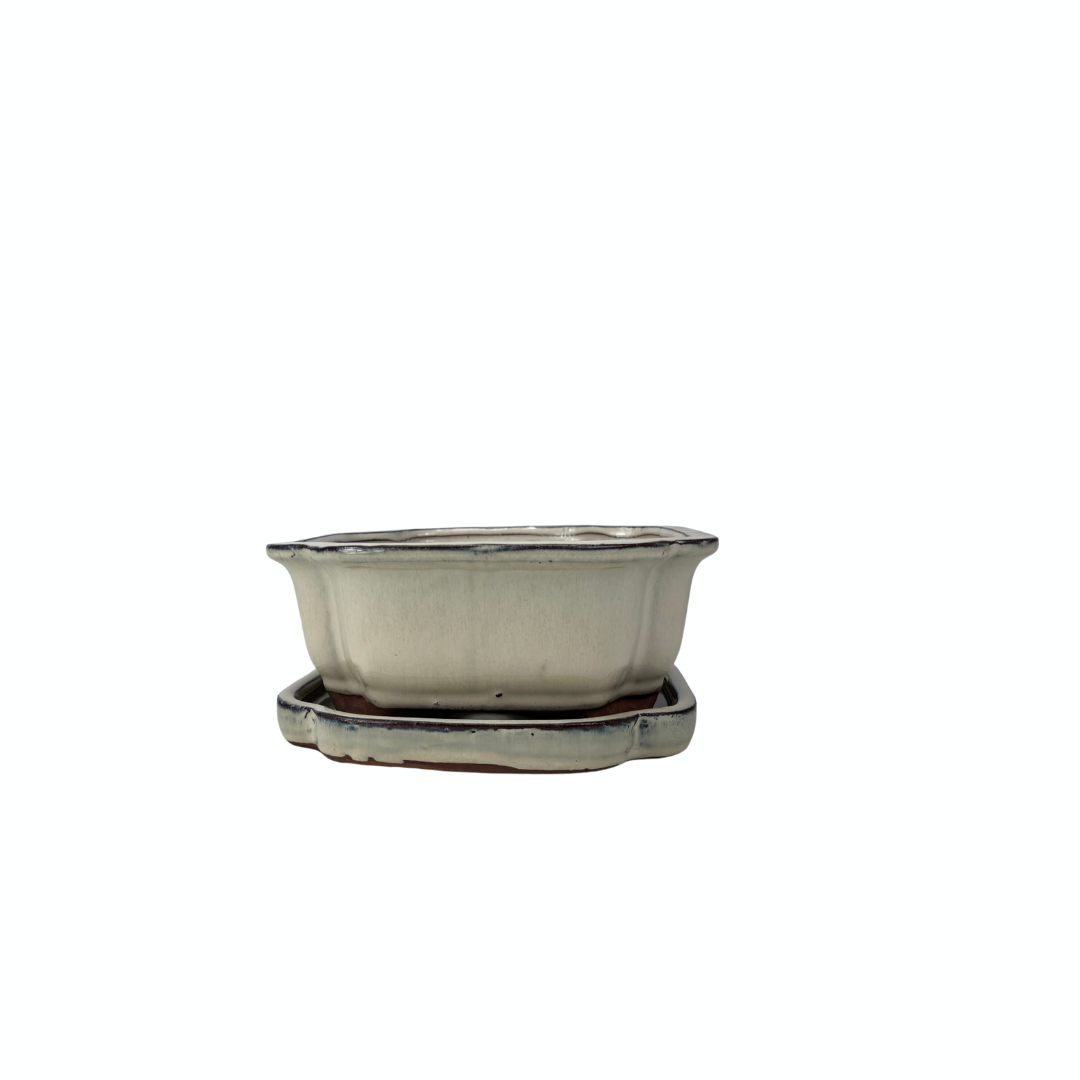 Bonsai pot cream mokko 16cm - set