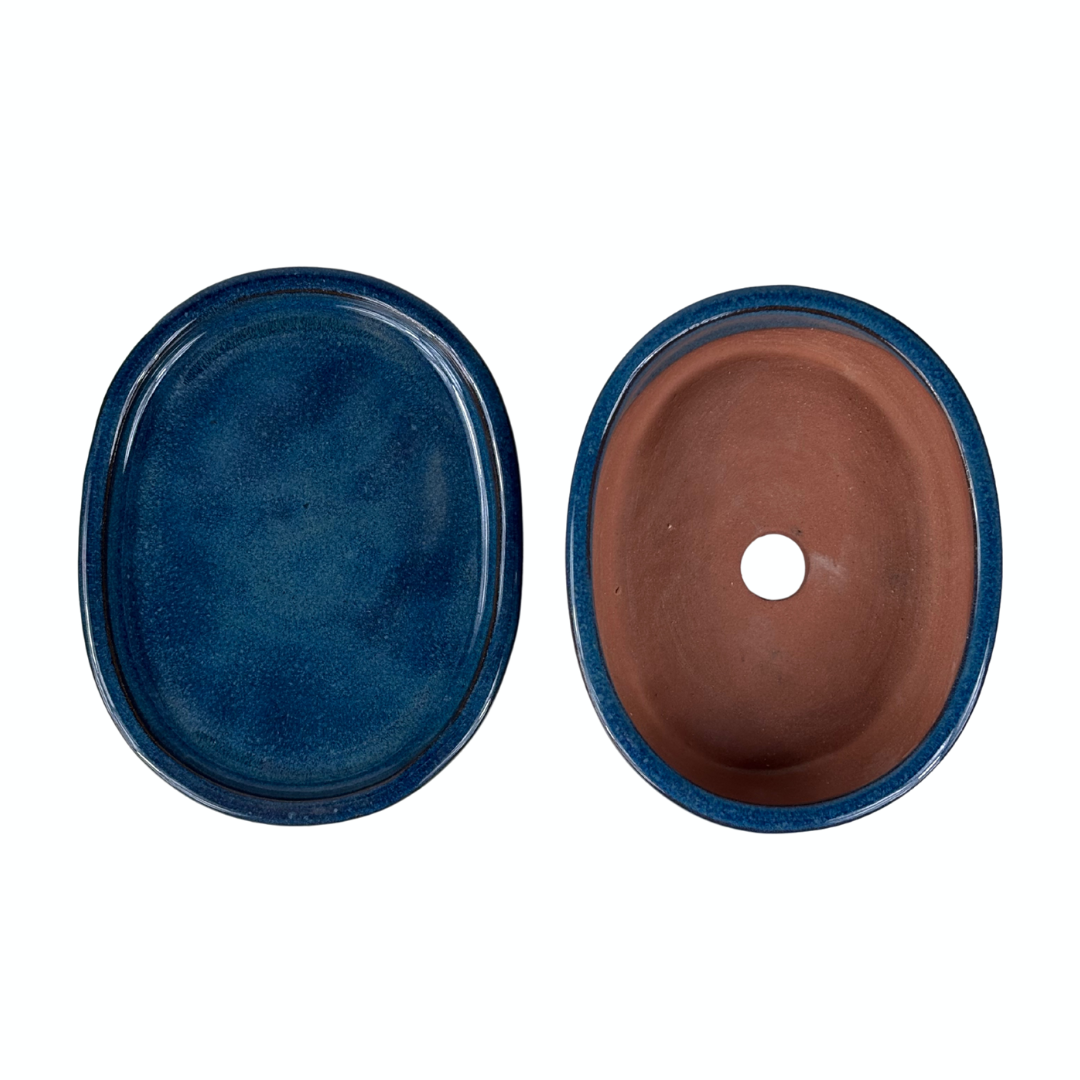 Bonsai pot blue oval 16cm - set