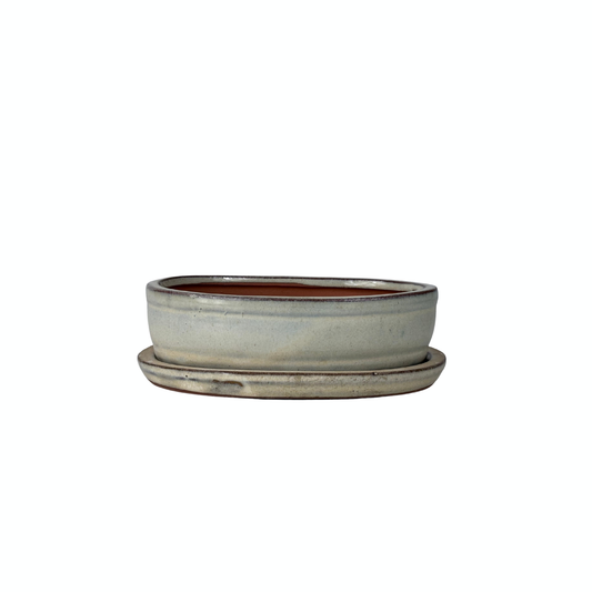 Bonsai pot cream oval 16cm - set