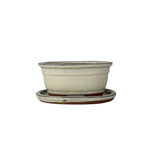 Bonsai pot cream oval 16cm - set