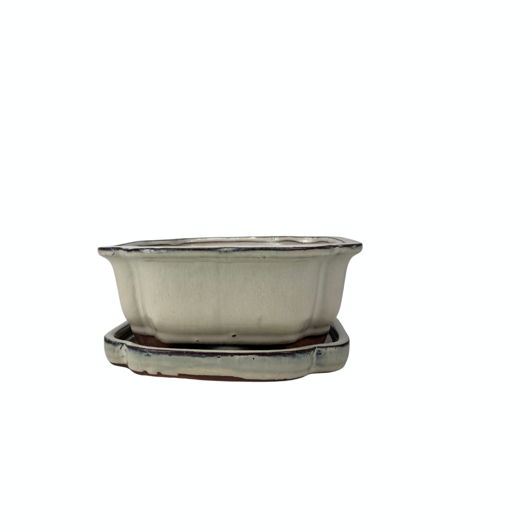 Bonsai pot cream mokko 26cm - set