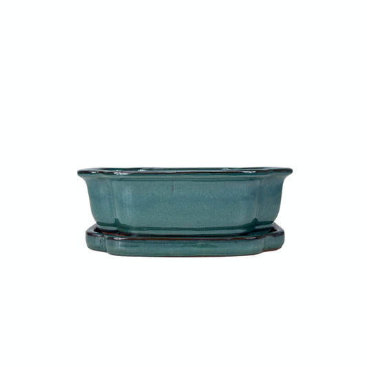 Bonsai pot green mokko 22cm - set