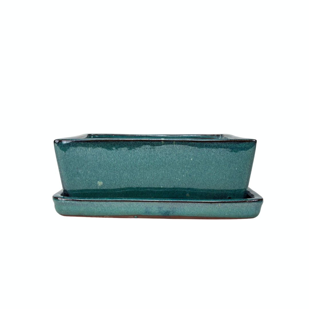 Bonsai pot green rectangular 24cm - set