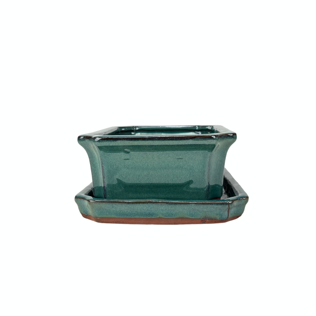 Bonsai pot green rectangular 25cm - set