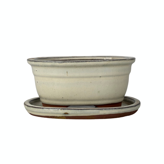 Bonsai pot cream oval 31cm - set