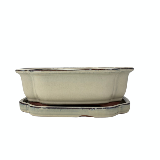 Bonsai pot cream mokko 32cm - set