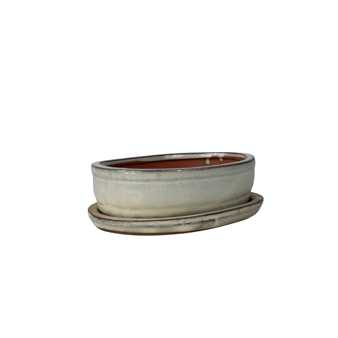 Bonsai pot cream oval 16cm - set