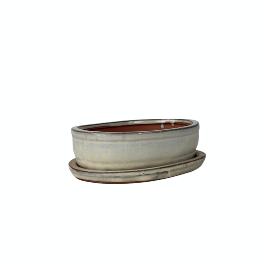 Bonsai pot cream oval 16cm - set