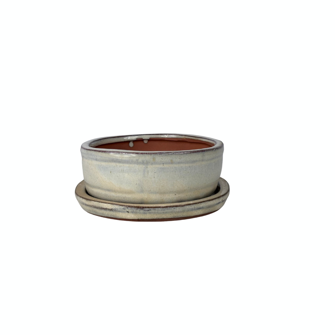 Bonsai pot cream oval 16cm - set