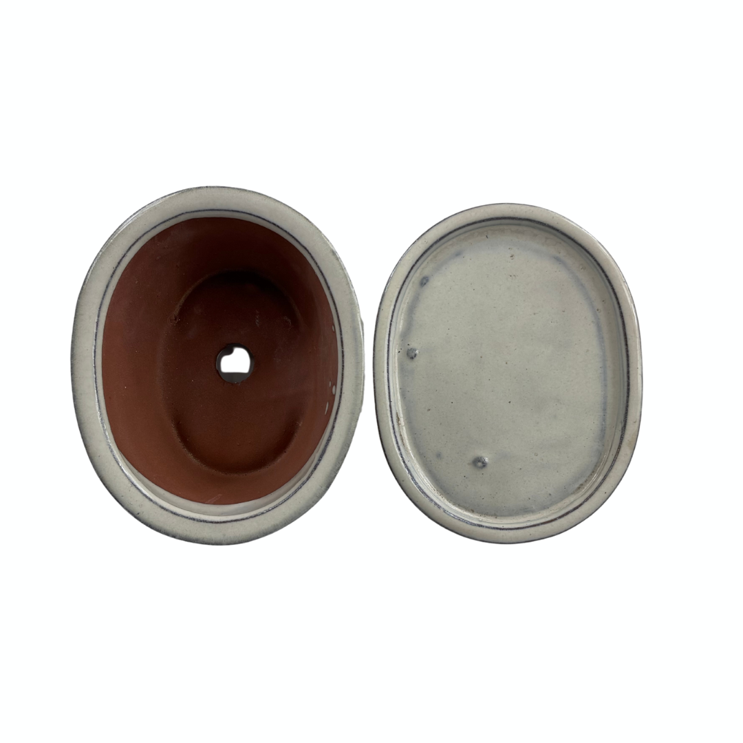 Bonsai pot cream oval 16cm - set