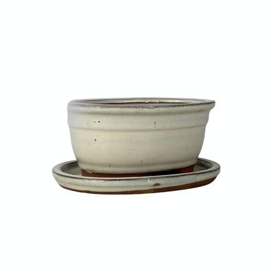 Bonsai pot cream oval 16cm - set