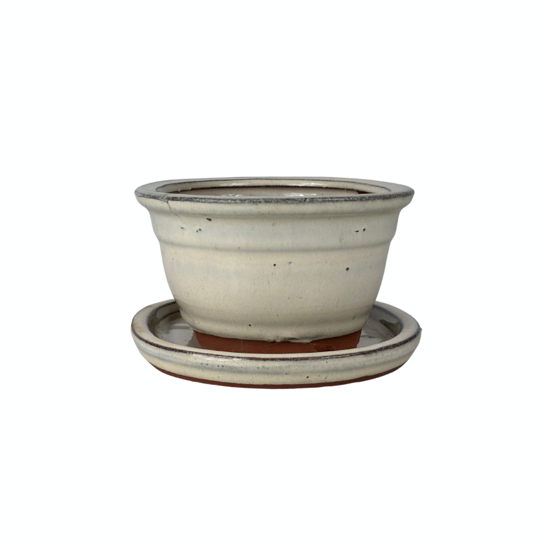 Bonsai pot cream oval 16cm - set
