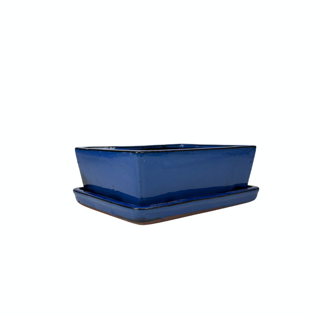 Bonsai pot blue rectangular 30cm - set
