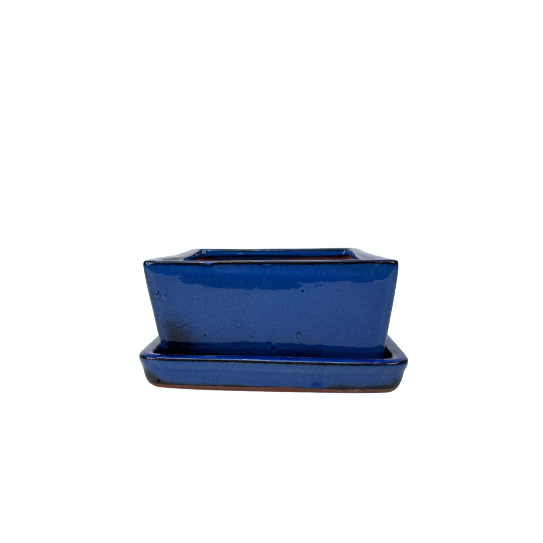 Bonsai pot blue rectangular 24cm - set