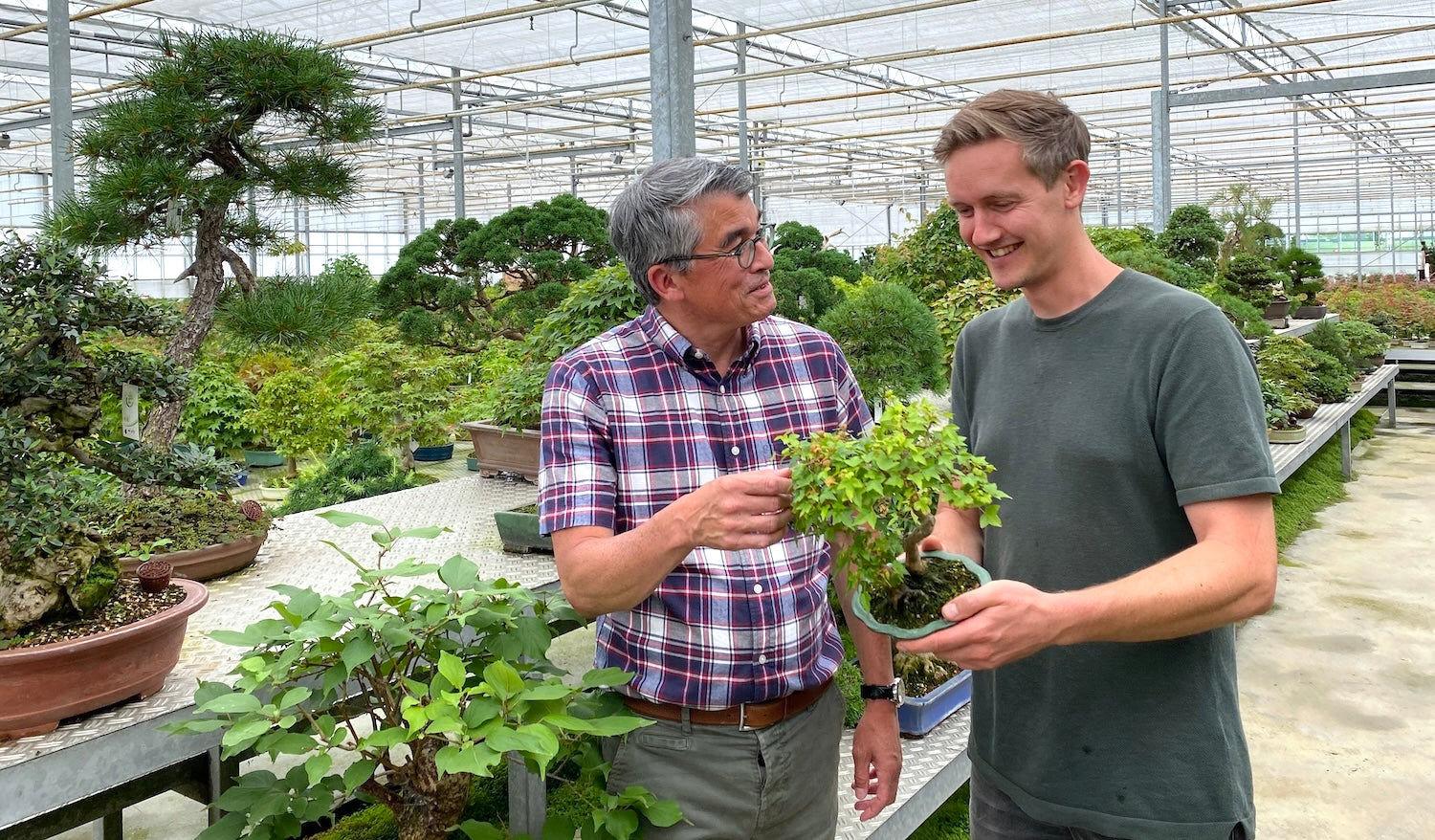 Gerrit and Oscar in the bonsai nursery
