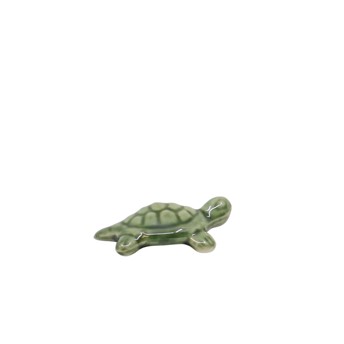 Bonsai Tenpai / Turtle (ceramic)
