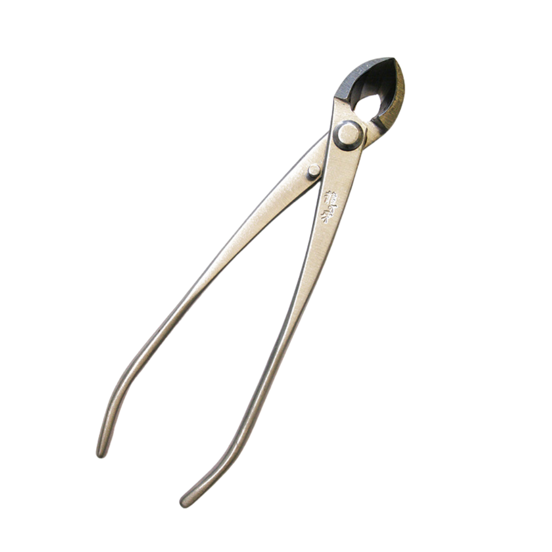 Bonsai Ryuga concave pliers stainless steel 170 mm