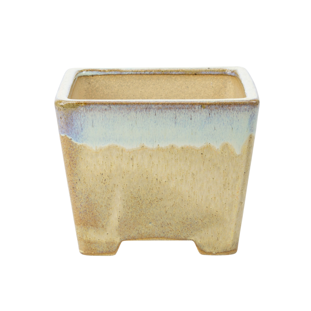 Bonsai pot beige square semi-cascade 13.7cm