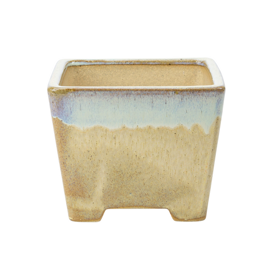 Bonsai pot beige square semi-cascade 13.7cm
