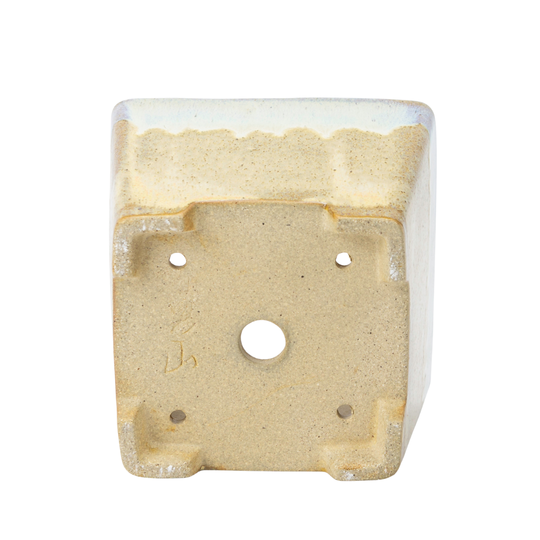 Bonsai pot beige square semi-cascade 13.7cm