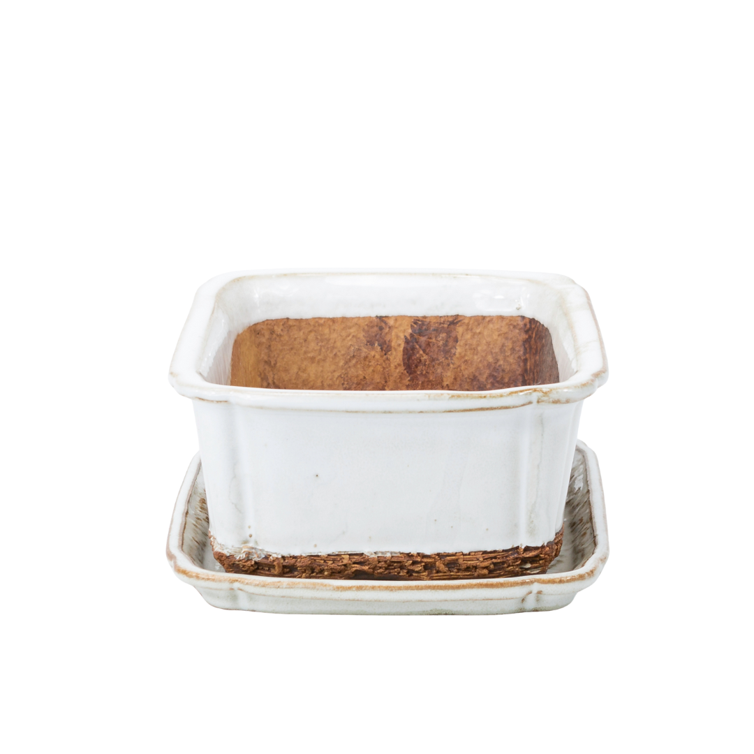 Bonsai pot white rectangular 17.5 cm - set