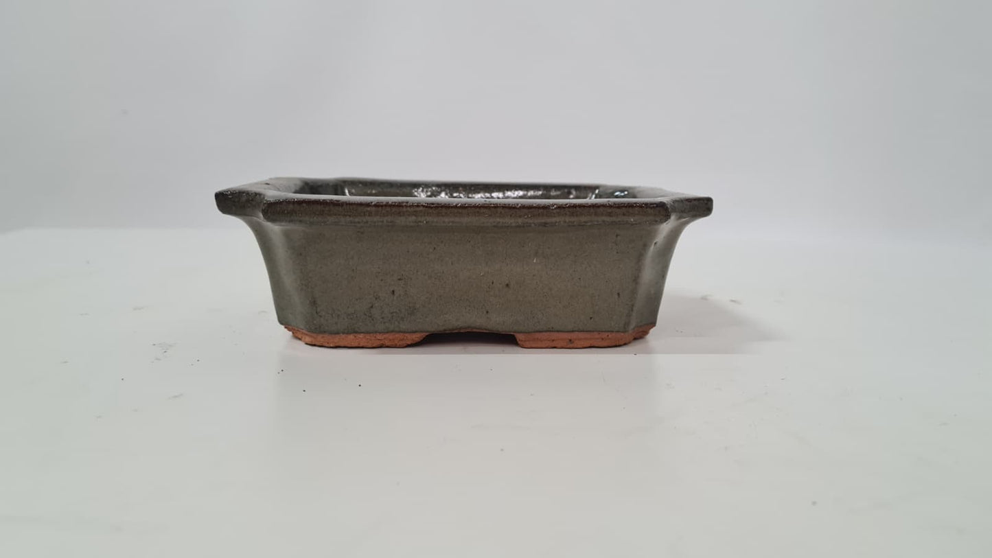 Bonsai saucer green 15cm