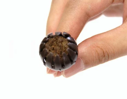 Bonsai mestkorfjes Kikuwa petite dome groot (10 stuks) 