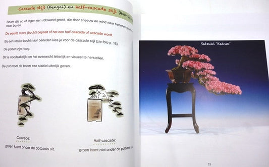 Bonsai - More Than Just a Tree in a Pot, Janine Droste