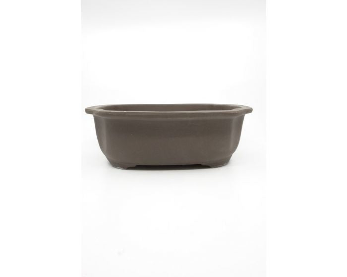 Bonsai pot ongeglazuurd mokko 25cm