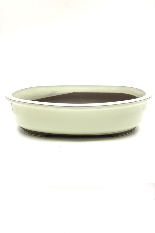 Bonsai pot creme ovaal 38cm
